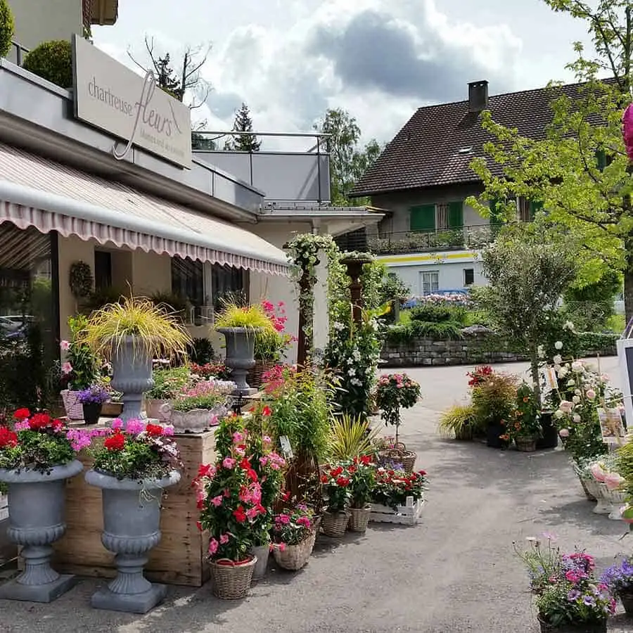 Chartreuse bringt Blumen jederzeit verfügbar
